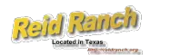 images/index_html_smartbutton3.gif