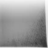images/hatched corner2.png