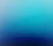 MiamiBackground.jpg