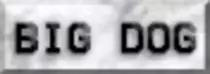 biGDOG3.png