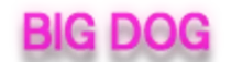 bigdog5.png