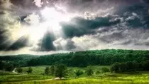 img/summer_grass_sky_field_trees_81820_300x168.jpg