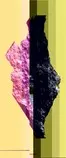 media/img/twit-glitch.jpg