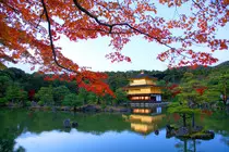 Japan-8.jpg