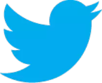 twitter-bird-callout.png