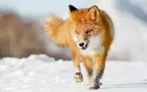images/7.jpg