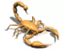 scorpion.gif