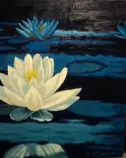 images/Water lilies1.jpg
