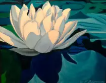 images/Water lily.jpg