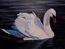 images/White swan.jpg