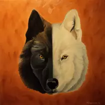 images/Wild Spirit.jpg