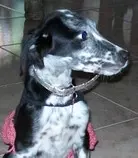 Imagenes/Hagen.jpg