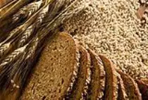 fibres.jpg