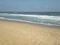 beach.jpg