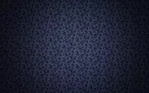 images/fon4.jpg