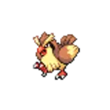 pidgey.png