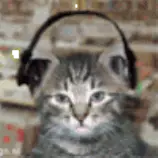 images/output_AuS4Zi.gif