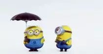 giphy1.gif