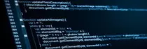 PetLine/images/banner8.jpg