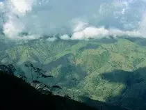 Imagenes/foto5.jpg
