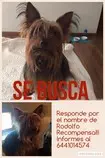 image/Rodolfo.jpg