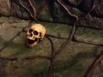kreaps/skull.jpg