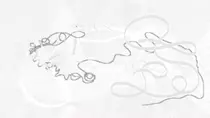 img/gromadzki_bottomright.png