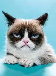 grumpy.jpg