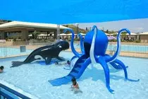 kiddie1-3.jpg