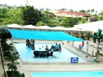 kiddiepool2.jpg