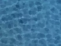 myImage1111.gif