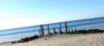 images/pic.gif
