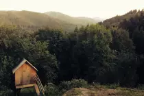 images/trees.jpg