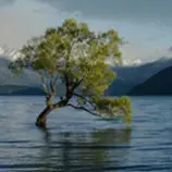 images/water-thumb.jpg