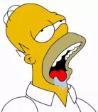 images/homer.jpg