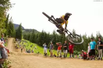 images/whip.jpg