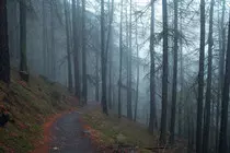 images/nature1.jpg