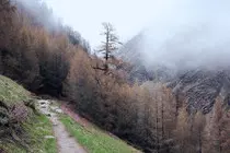 images/nature3.jpg
