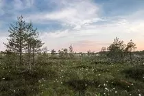 images/nature4.jpg