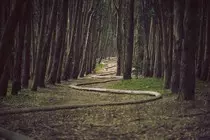 images/nature5.jpg