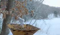 img/RHvfp4v.gif