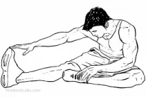 StretchingH.png
