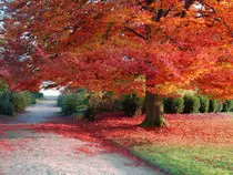 test/images/scene45f.jpg