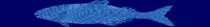 Chapter_06/Case Study/FishCreek/bigfish.gif