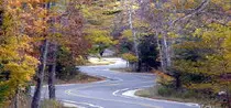 Chapter_06/Case Study/JavaJam/windingroad.jpg