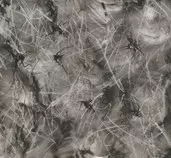 images/cropped_iron_moon.jpg