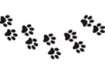 imagens/fon2.png