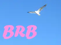 BRB.jpg
