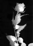 Images/edit.jpg