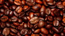 images/beans.jpg